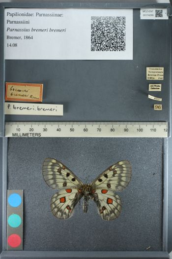 Media type: image;   Entomology 174299